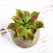 Green 3 Assorted 5" Faux Home Garden Aloe Succulent Plants Round Pots